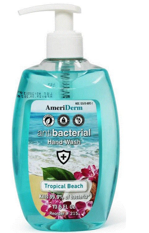 Antibacterial Tropical Beach Scent Liquid Hand Soap | 13.5 oz 