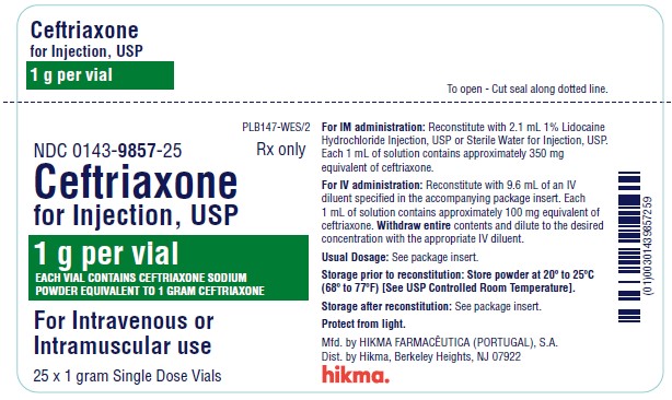Ceftriaxone Sodium 1gm Powder Injectable SDV